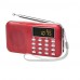 Y-896 Portable Player Radio for the Elderly